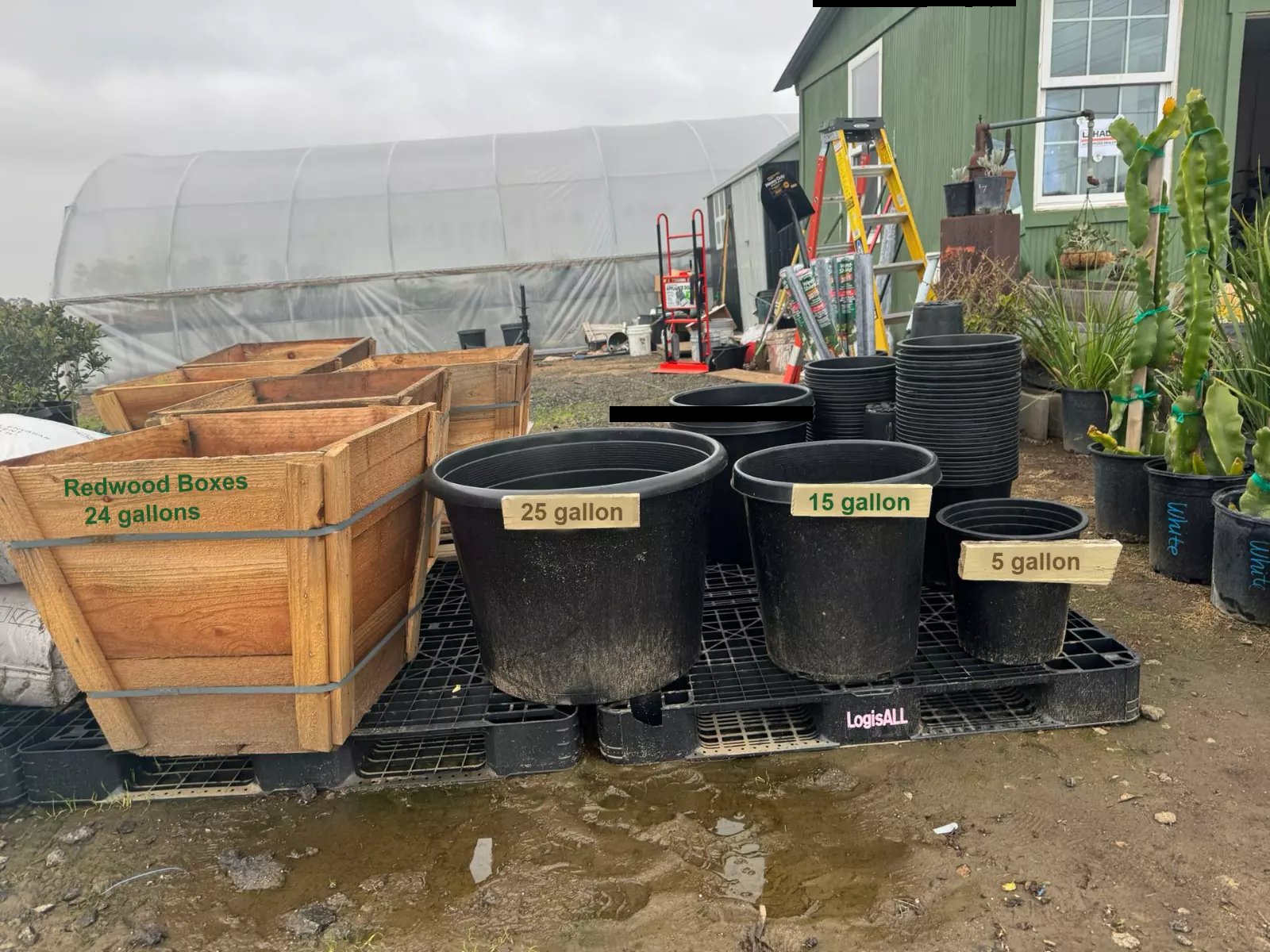 Large Pots