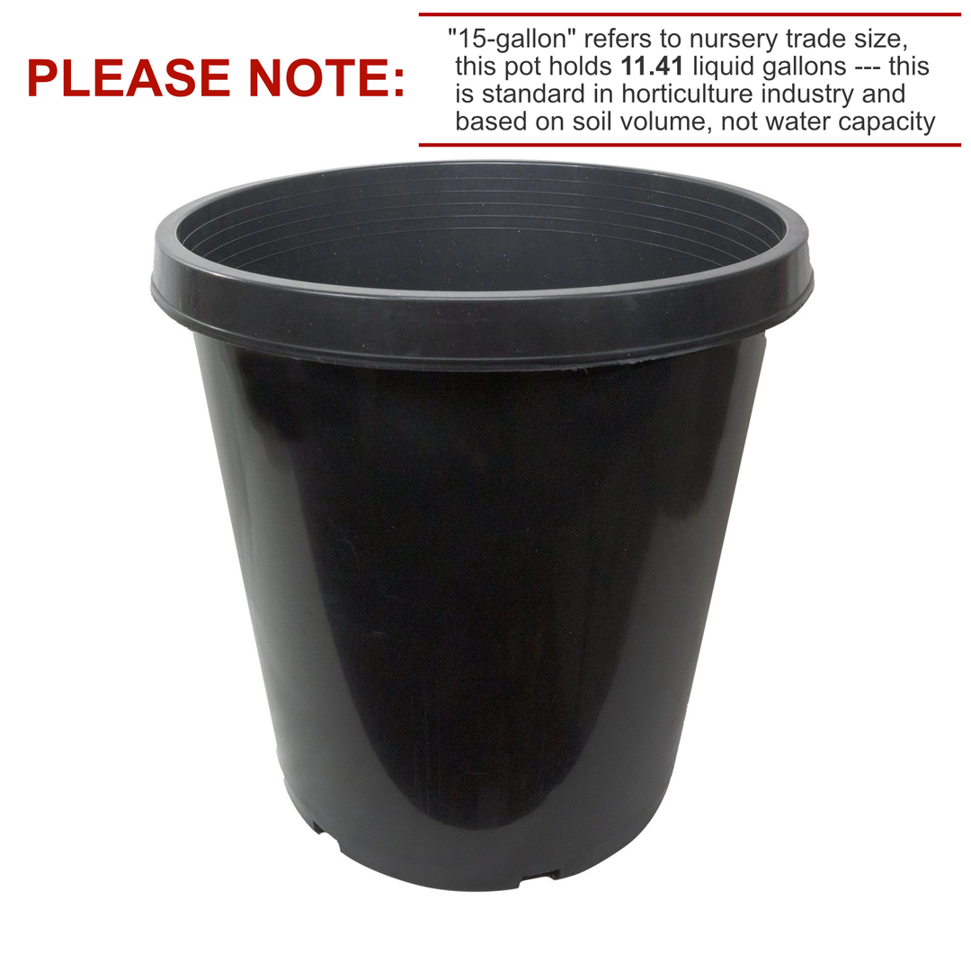 15 Gallon Tall Black Garden Pot – Heavy-Duty Plastic
