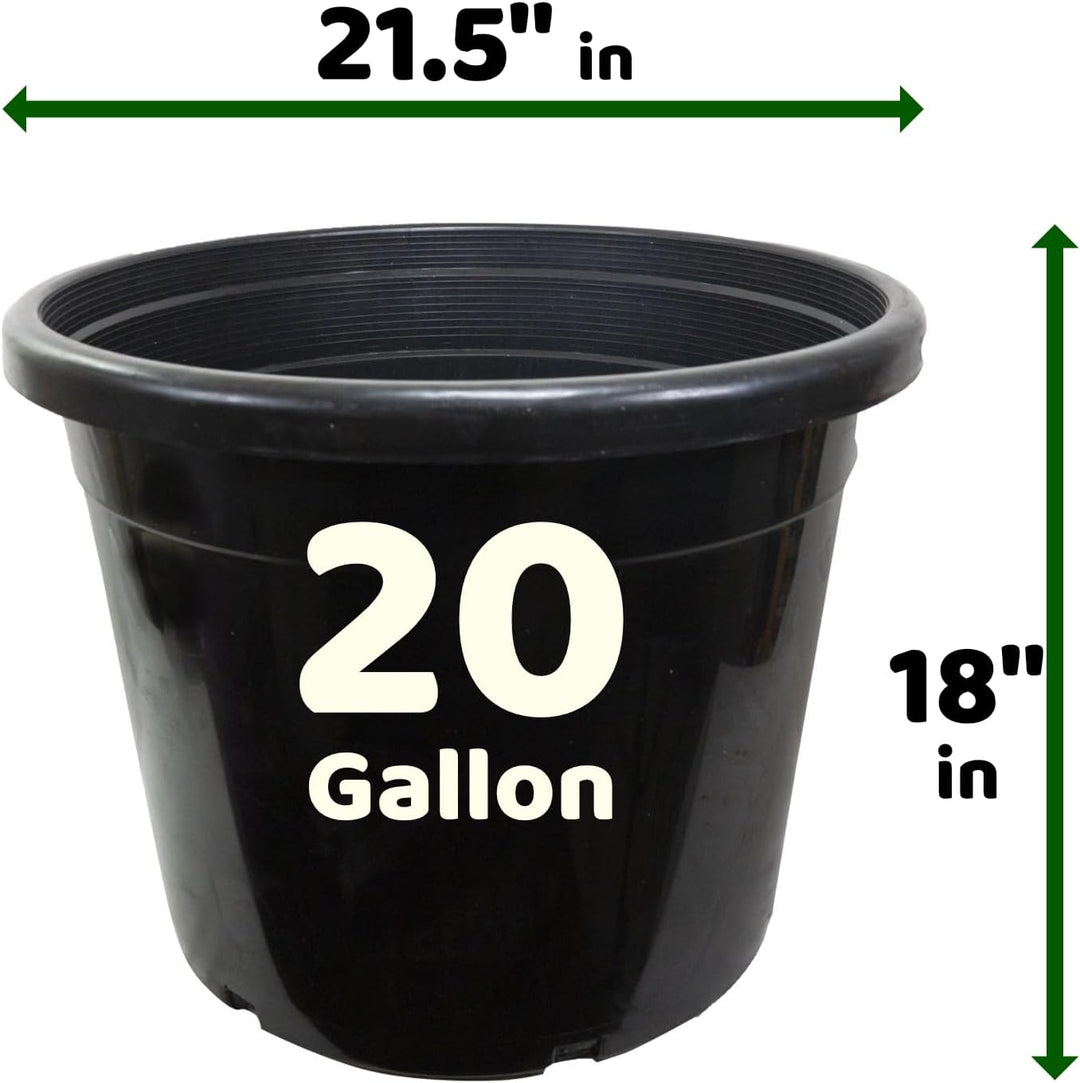 20 Gallon Black Nursery Pot – Heavy - Duty Plastic - Green Oasis