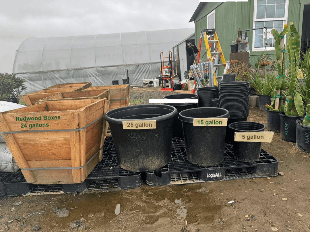 20 gallon nursery pot size comparison with measuring tape