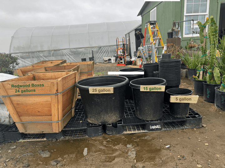 20 gallon nursery pot size comparison with measuring tape