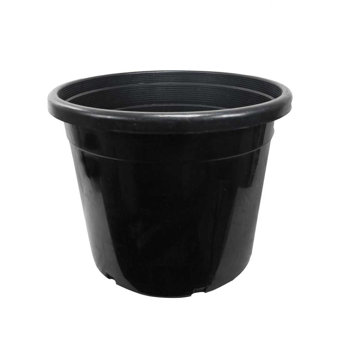 20 gallon heavy duty black nursery pot for trees and large plants