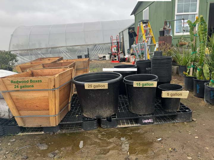 20 Gallon Black Nursery Pot – Heavy-Duty Plastic