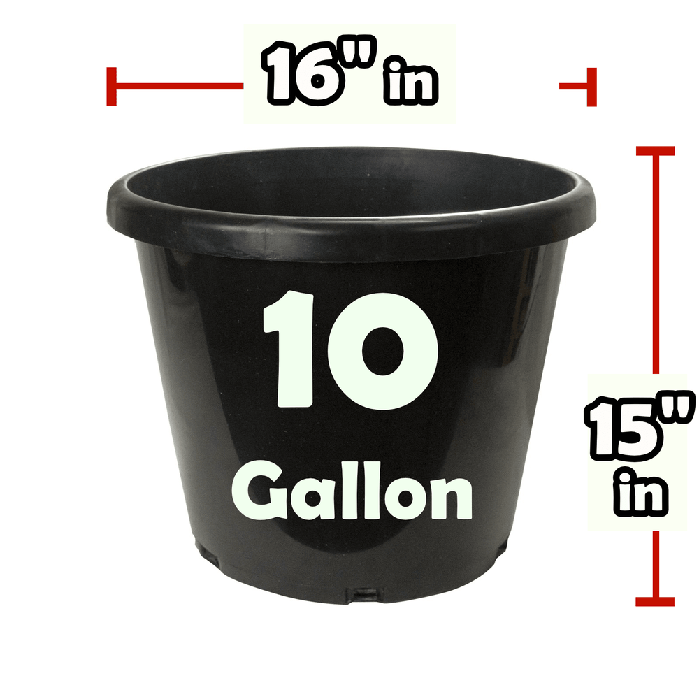 Green Oasis - 10 Gallon Nursery Pots - Premium Injection Molded Black Plastic Plant Pots, Heavy Duty Commercial Grade with Drainage Holes - Green Oasis