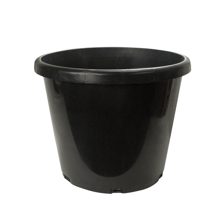 Green Oasis 10-gallon commercial-grade black nursery pot