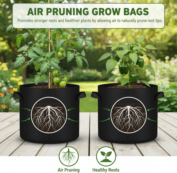 Tomatoes growing in Green Oasis 15 gallon fabric grow bags outdoors