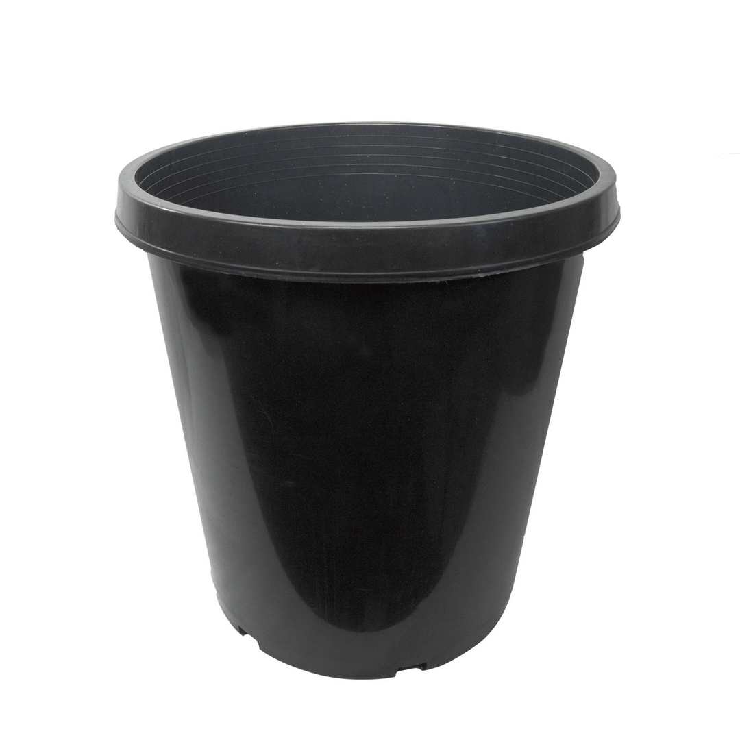 15 Gallon Heavy Duty Nursery Pots – Commercial Grade Black Plastic Plant Containers - Stock Photo