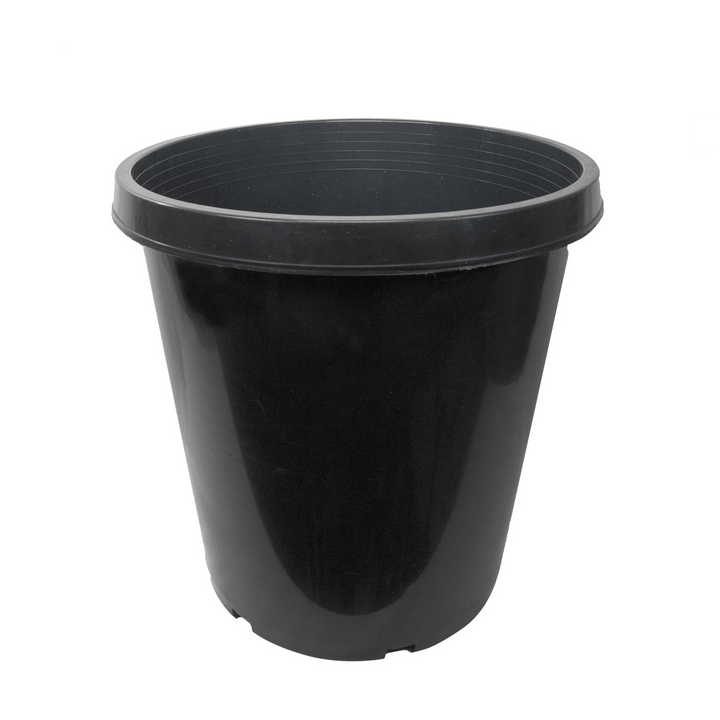 15 Gallon Heavy Duty Nursery Pots – Commercial Grade Black Plastic Plant Containers - Stock Photo