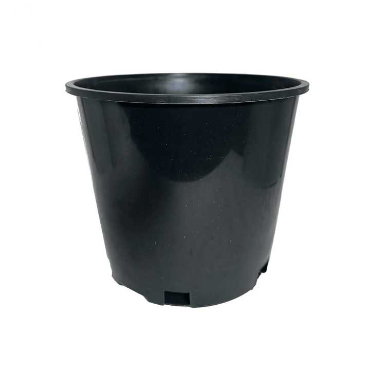 Green Oasis 3-gallon heavy-duty black nursery pot, 11-inch round