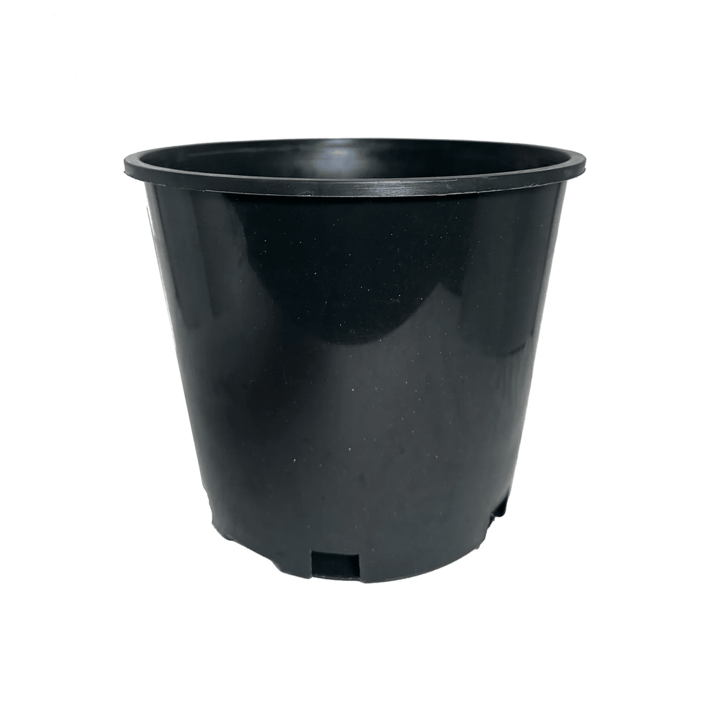 3 gallon plastic pots for plants 3-Gallon Nursery Pots | Heavy-Duty Black Plastic