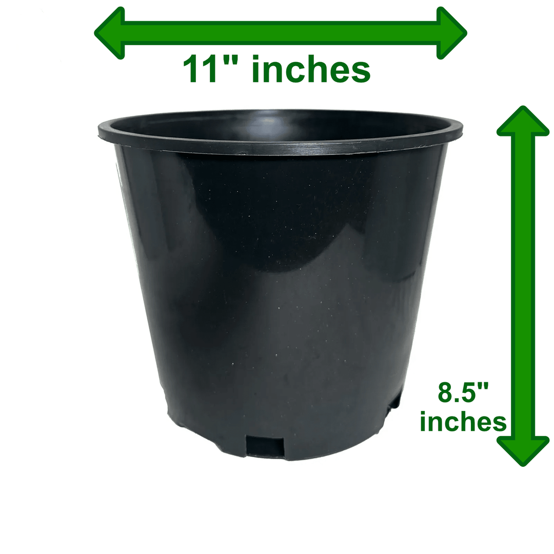 Bulk pack of Green Oasis 3-gallon nursery pots for commercial growers