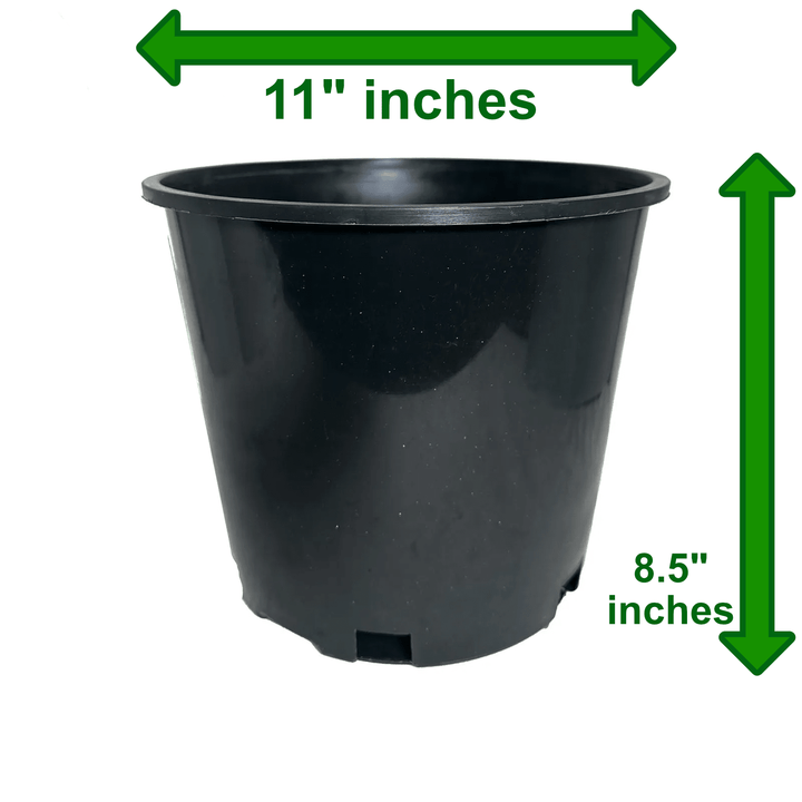 Bulk pack of Green Oasis 3-gallon nursery pots for commercial growers