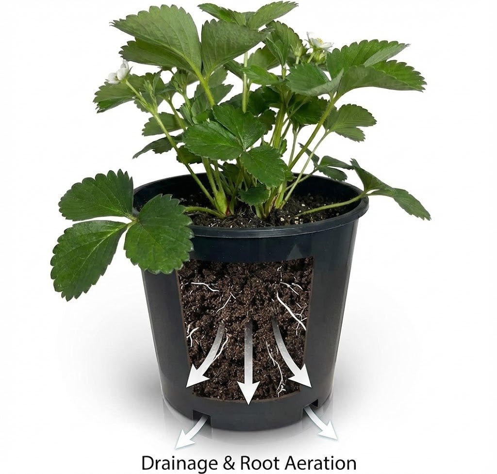 Stack of Green Oasis 3-gallon black plastic nursery pots for storage