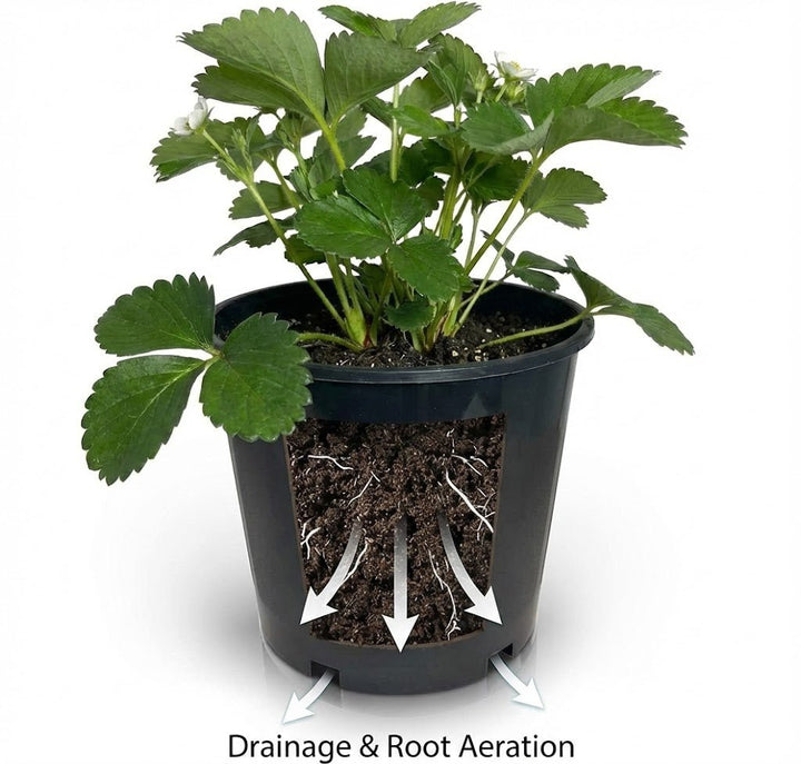 Stack of Green Oasis 3-gallon black plastic nursery pots for storage