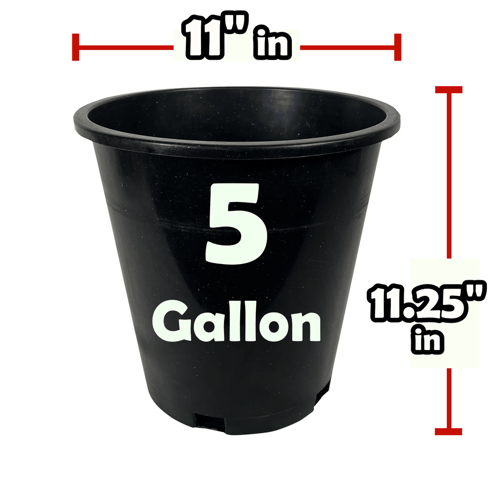 Green Oasis - 5 Gallon Nursery Pots - Premium Injection Molded Black Plastic Plant Pots, Heavy Duty Commercial Grade with Drainage Holes - Green Oasis
