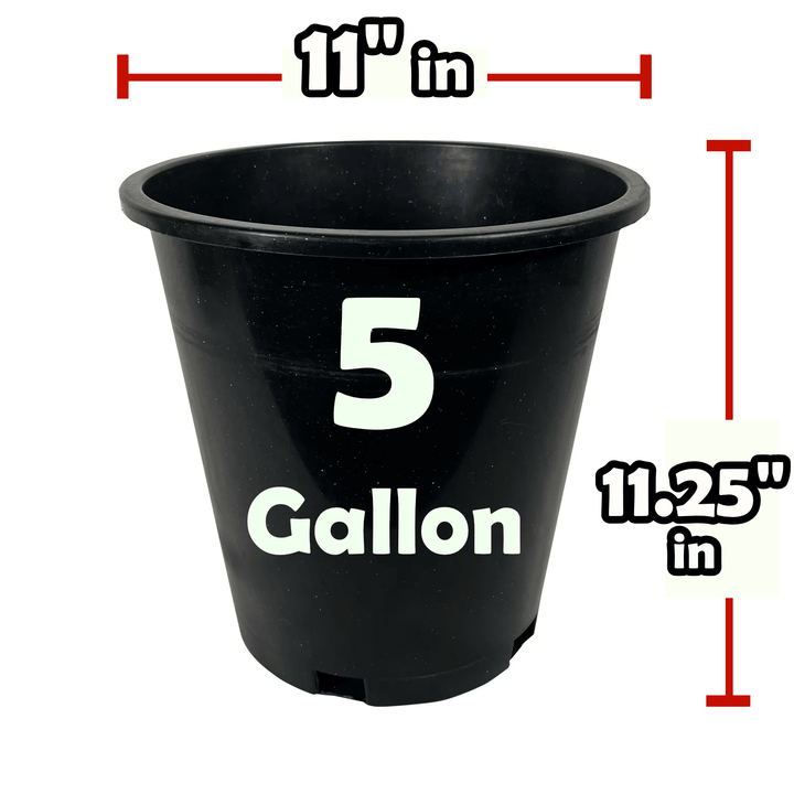 5-gallon black nursery pot side view with reinforced walls