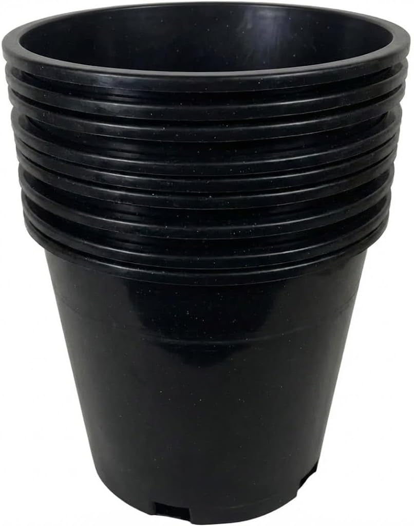5-gallon nursery pot with tomato plant growing in soil