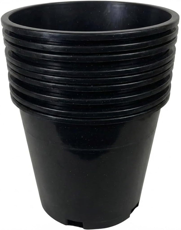 5-gallon nursery pot with tomato plant growing in soil
