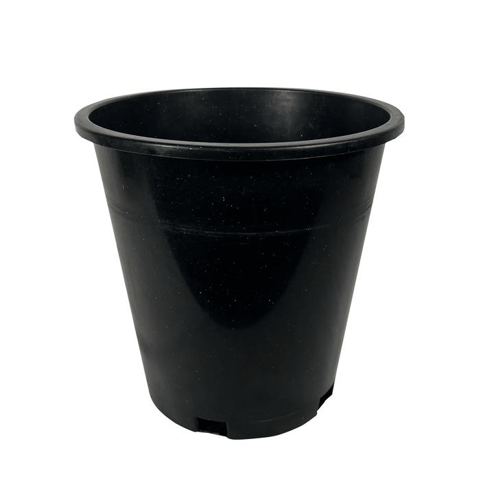 Green Oasis 5-gallon heavy-duty black nursery pot featured image