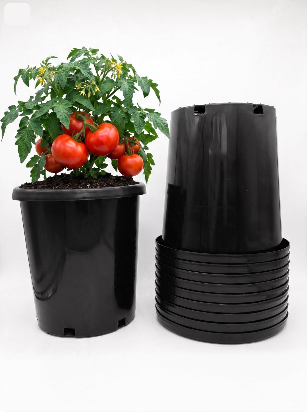 Green Oasis - 7 Gallon Professional Nursery Pots with Drainage Holes - Heavy Duty Black Plastic Plant Containers for Indoor/Outdoor Growing - Green Oasis